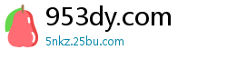 953dy.com